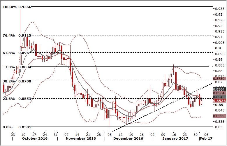 Forex daily chart signals